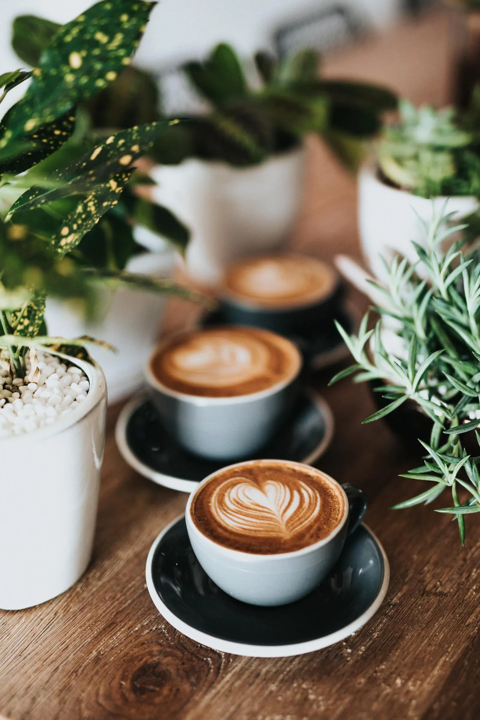 Cappuccino mit Latte-Art zwischen Grünpflanzen auf einem Holztisch